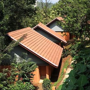 Ac Jungle Cottage